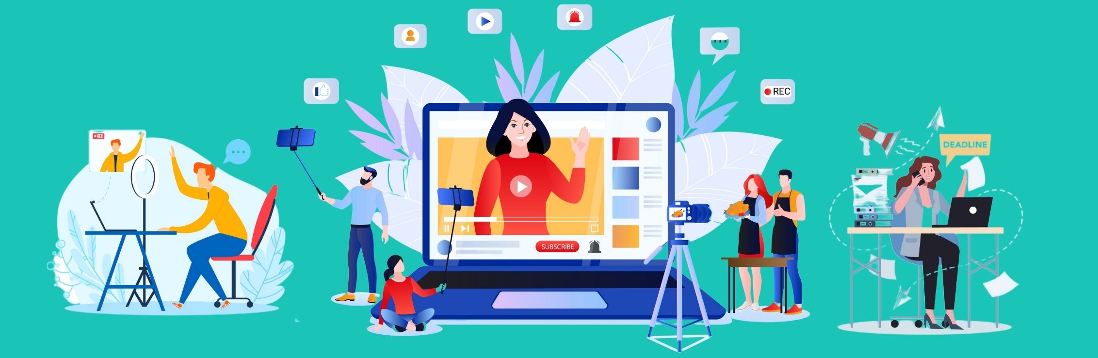 mC Blog Video Marketing with Reels